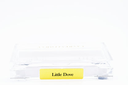 Little Dove