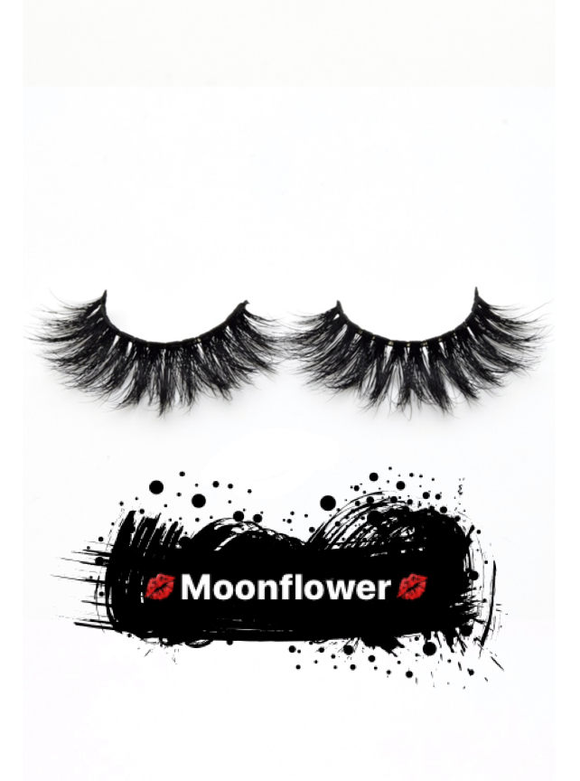 Moonflower